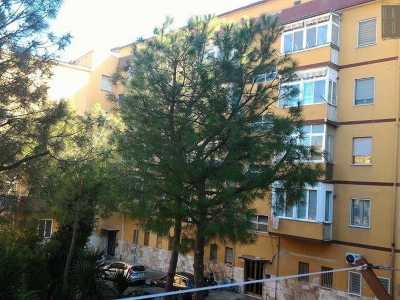 Anche in questo complesso sono i giardini i veri protagonisti: aiuole su cui svettano persino pini e abeti. Alcuni alberi sono talmente maestosi da superare in altezza delle palazzine